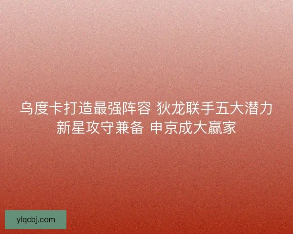 乌度卡打造最强阵容 狄龙联手五大潜力新星攻守兼备 申京成大赢家