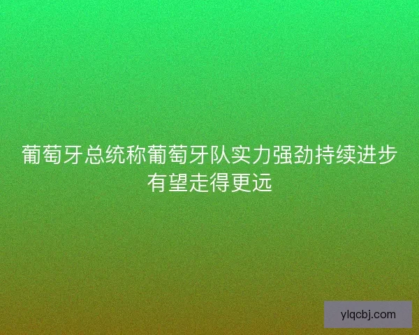 葡萄牙总统称葡萄牙队实力强劲持续进步有望走得更远