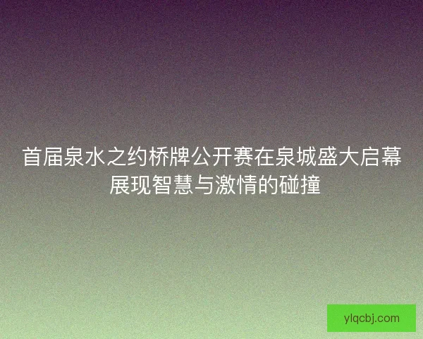 首届泉水之约桥牌公开赛在泉城盛大启幕 展现智慧与激情的碰撞