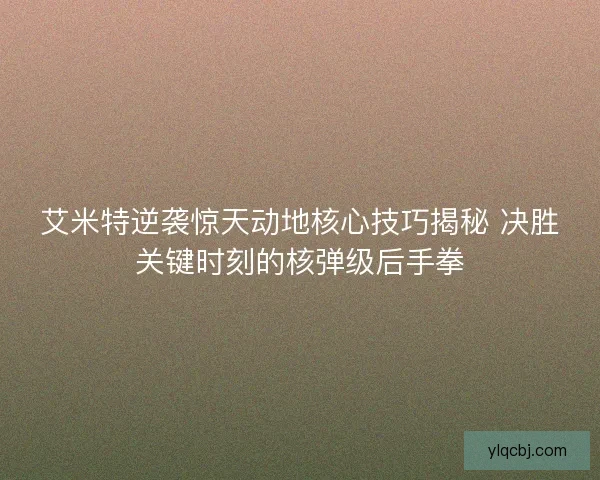 艾米特逆袭惊天动地核心技巧揭秘 决胜关键时刻的核弹级后手拳